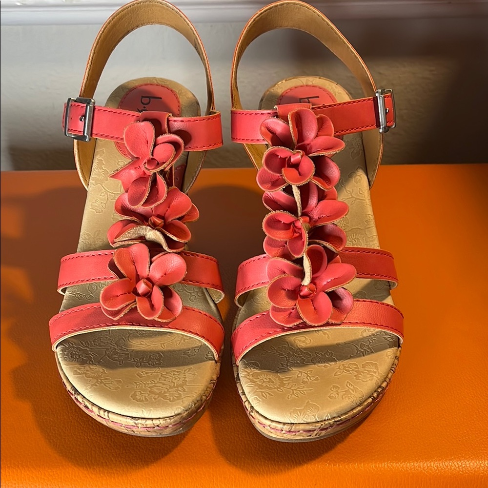 In Full Bloom! - image 1